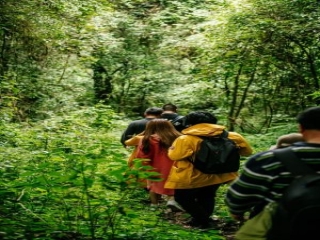 高黎贡山轻徒步
